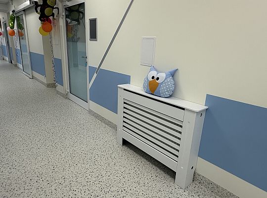 SPS ZOZ Lębork modernizacja Oddziału Pediatrycznego#31