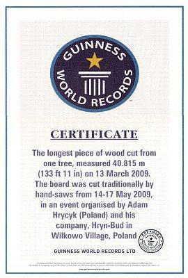 Nagroda Guinness World Record za najdłuższy kawałek drewna wycięty z jednego drzewa