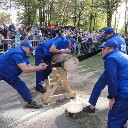 Grafika Trzykrotny Mistrz Powiatu Lęborskiego w Turnieju Drwali